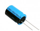 100uF 160V High Quality Electrolytic Capacitor - Vishay