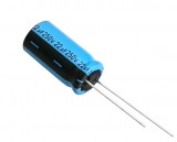 22uF 250V High Quality Electrolytic Capacitor - Vishay